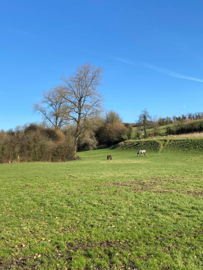Le Clos Des Deux Chenes Coupelle-Vieille Bagian luar foto